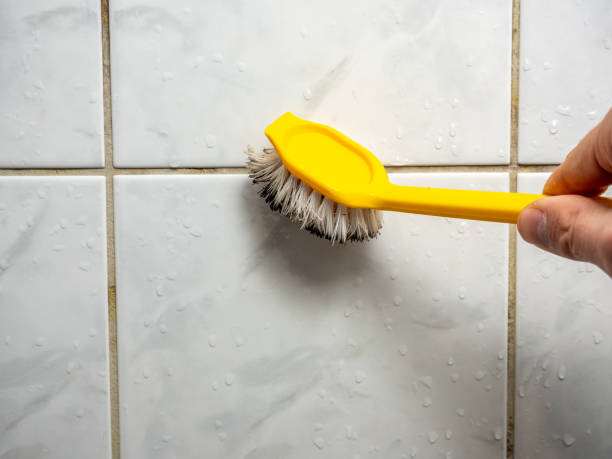 Trusted Washington, DC Mold Removal Experts